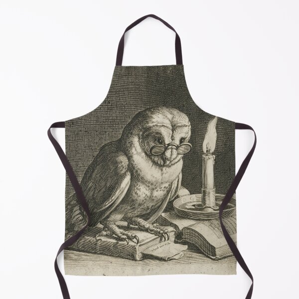 Item preview, Cornelis Bloemaer - Uil Met Bril En Boeken, 1625 designed and sold by artcenter.