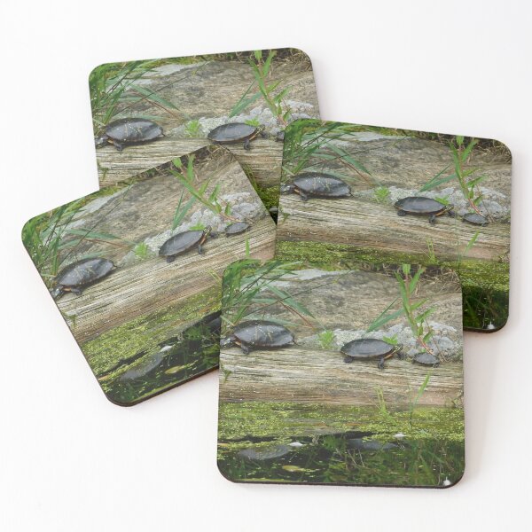Item preview, Turtle Family designed and sold by Izayo-Darke1.