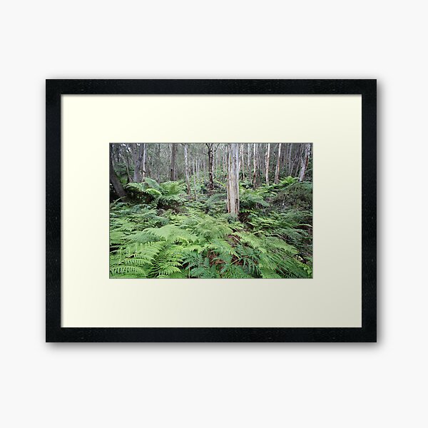 Item preview, Fern Gully Revisited 1 designed and sold by Geoff Smith.