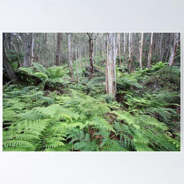 Item preview, Fern Gully Revisited 1 designed and sold by Geoff Smith.