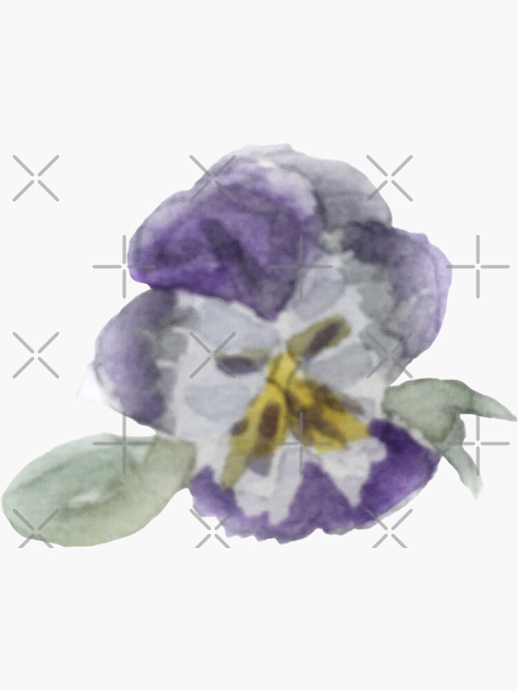 Purple Pansy Illustration in Watercolor by WitchofWhimsy