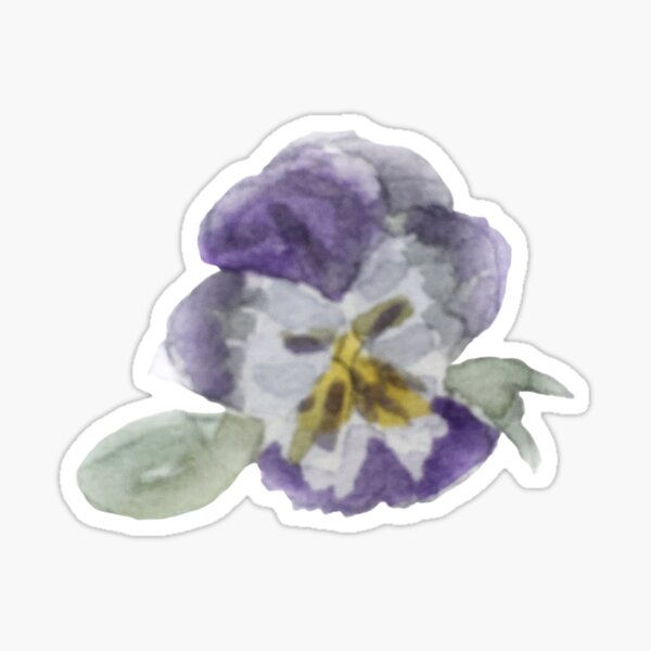 Purple Pansy Illustration in Watercolor Sticker