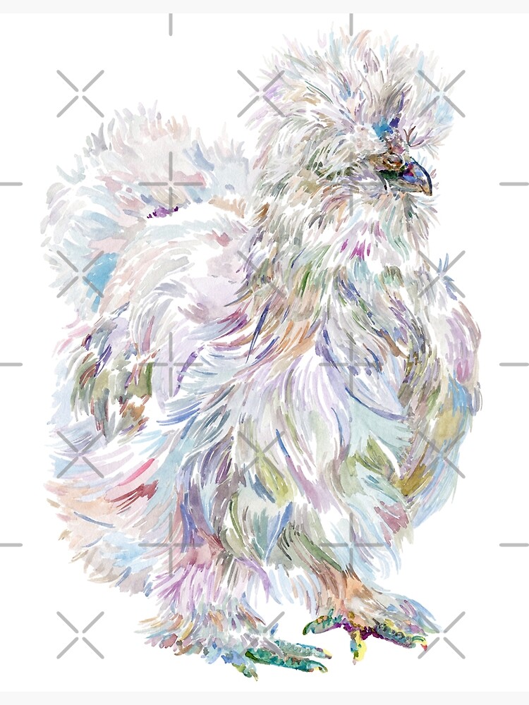 Buchu the Silkie Chicken