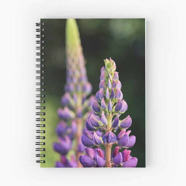 Item preview, Lupins. designed and sold by John Ray.