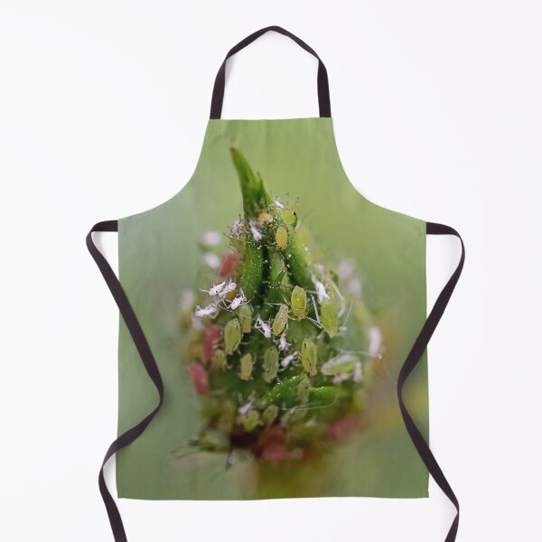 Item preview, Маcro Green rose aphid (Macrosiphum rosae, Aphididae) on rose bud - Funny Insects Entomology Gift 2 designed and sold by r-silver.