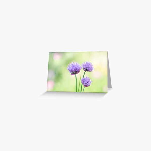 Chive Greeting Card