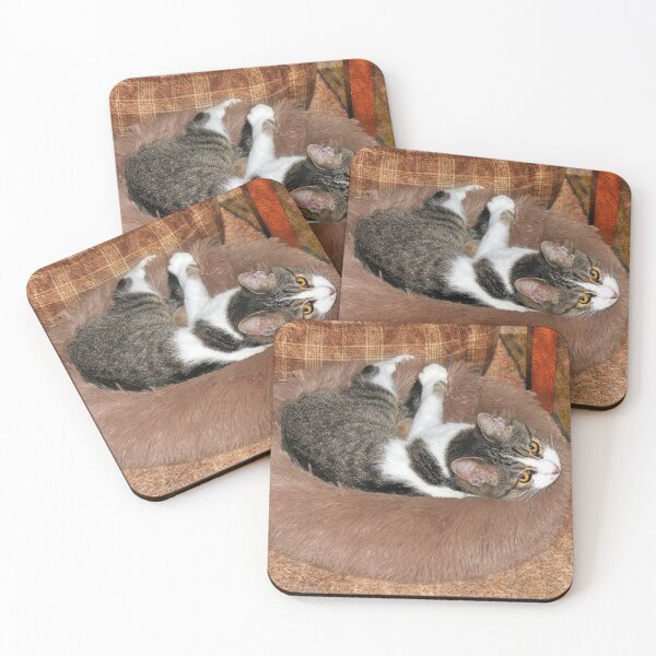 Item preview, In Her Cat Bed designed and sold by Frankie Cat Photography.