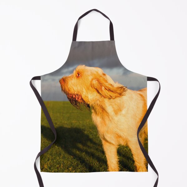 Item preview, Evening breeze Spinone designed and sold by FOLK ART FUSION.
