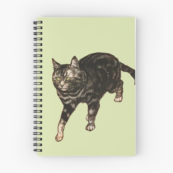 Aperçu de l'œuvre Arthur Rackham - Le chat tigré créée et vendue par Dreamflight.