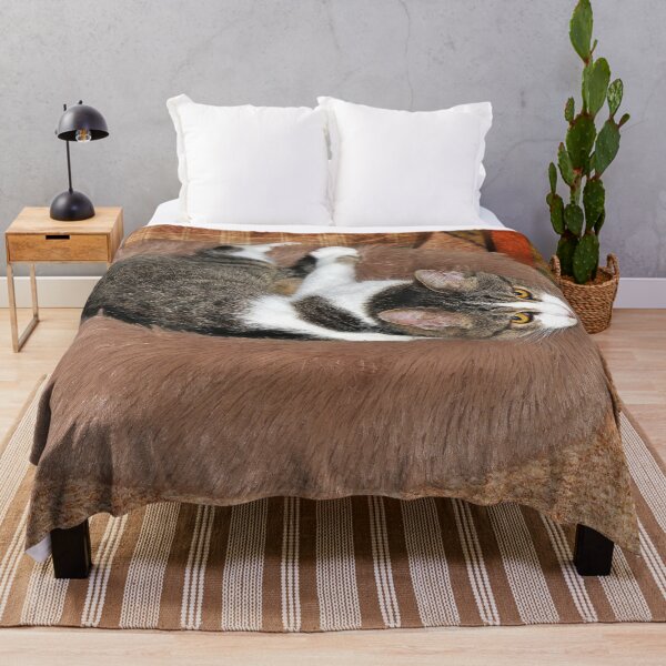 Item preview, In Her Cat Bed designed and sold by Frankie Cat Photography.