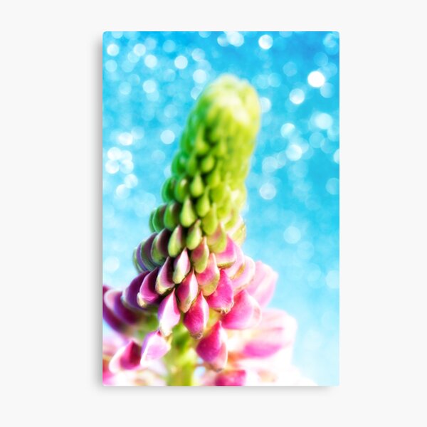 Lupin and Sparkles Metal Print