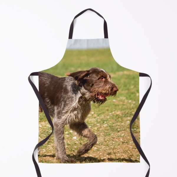 Item preview, Running with a ball Spinone by heidiannemorris designed and sold by FOLK ART FUSION by heidiannemorris.