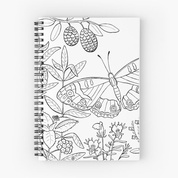 Item preview, Junonia Orithya Butterfly Lineart designed and sold by Jennifer Ruch.