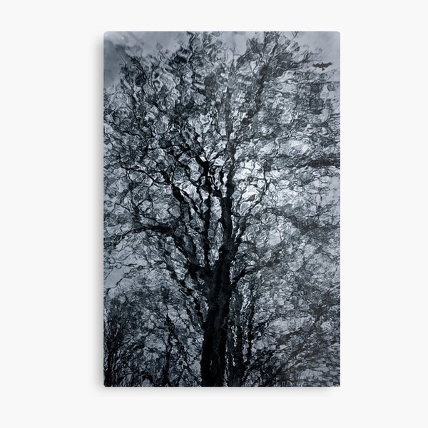A Tree In A Dream Metal Print