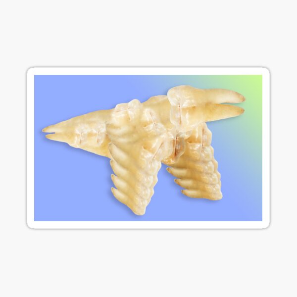 Item preview, Avian Dentata designed and sold by Ashley Honeycutt.
