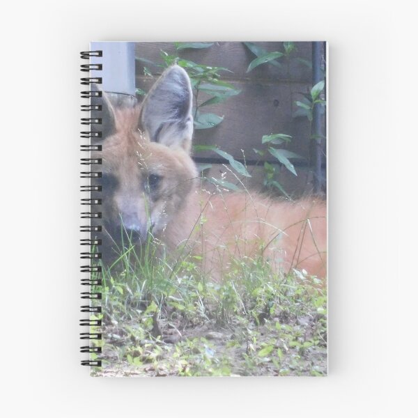 Item preview, Seeing designed and sold by Izayo-Darke1.