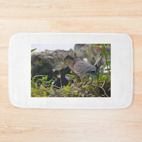 Item preview, Juvenile Green Heron with Brunch... designed and sold by RichImage.