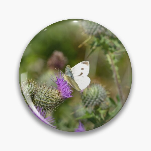 Item preview, Large White Butterfly on a Thistle designed and sold by rwhooster.