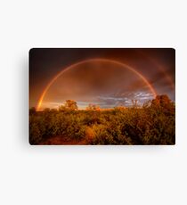 Rainbow Brush Canvas Print
