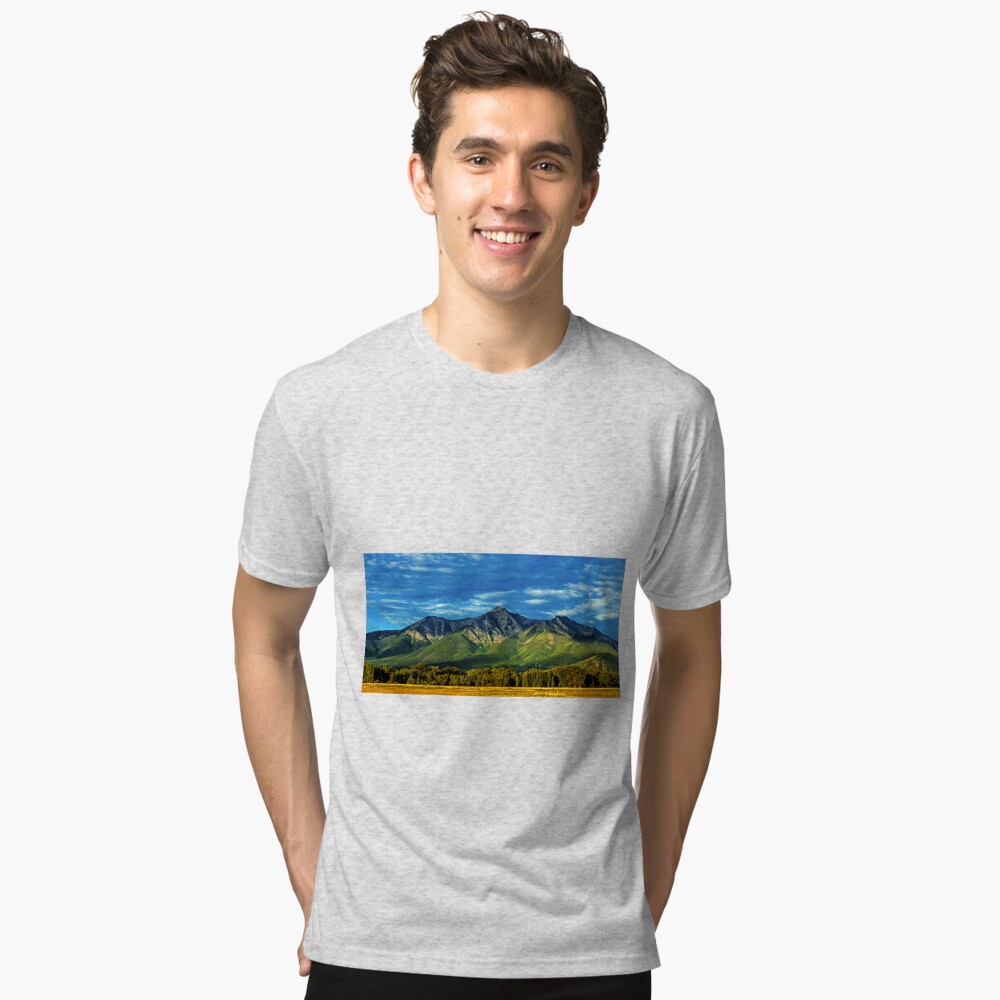 Item preview, Tri-blend T-Shirt designed and sold by nikongreg.