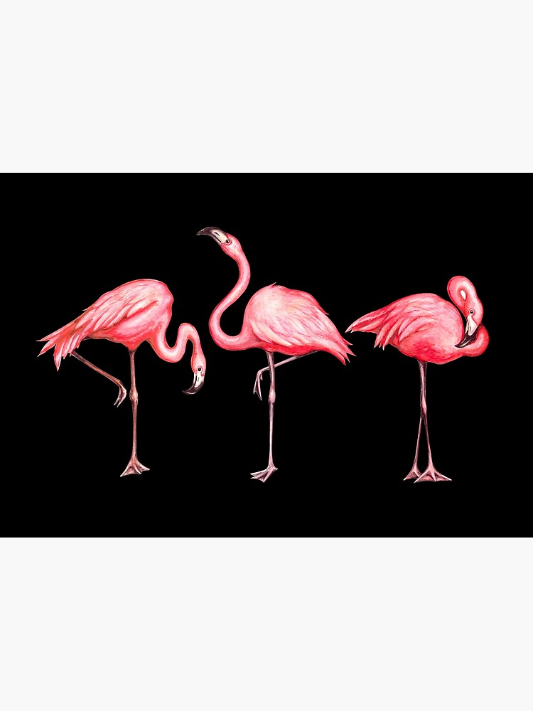 Flamingo Pattern - Black by KellyGilleran