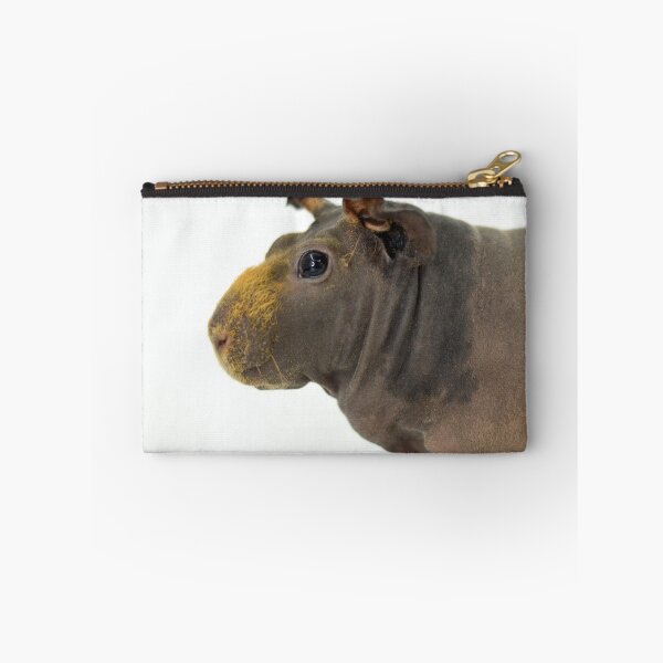 Item preview, Skinny Pig Hairless Guinea Pig  designed and sold by Bogglesandboops.