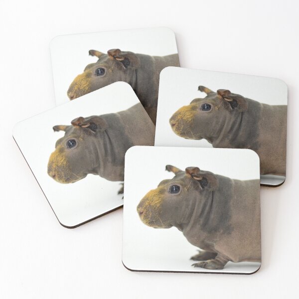 Item preview, Skinny Pig Hairless Guinea Pig  designed and sold by Bogglesandboops.