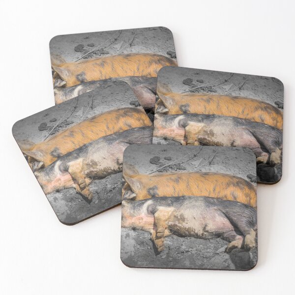 Item preview, Sunbathing Piggies designed and sold by JEZ22.
