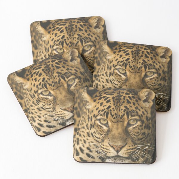 Item preview, Leopard designed and sold by CBL.