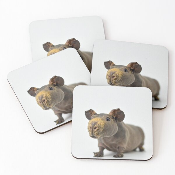 Item preview, Skinny Pig Hairless Guinea Pig  designed and sold by Bogglesandboops.
