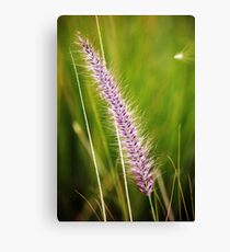 Spike Canvas Print