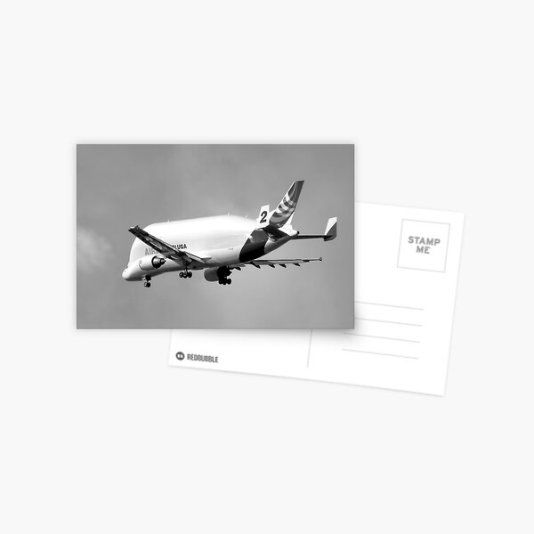 Beluga Transport Plane in B&W Postcard