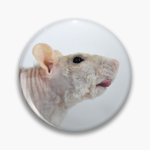 Item preview, Double Rex Rat designed and sold by Bogglesandboops.