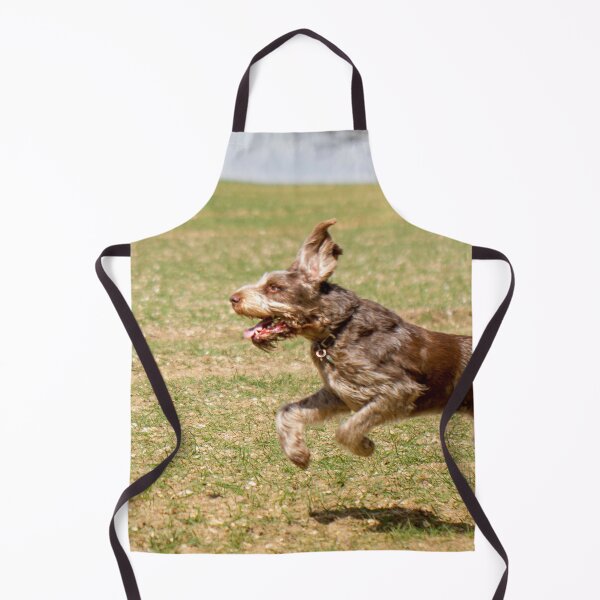 Item preview, Running in the sun Spinone designed and sold by FOLK ART FUSION by heidiannemorris.
