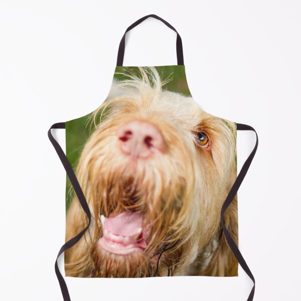 Item preview, Looking up and laughing Spinone designed and sold by FOLK ART FUSION by heidiannemorris.