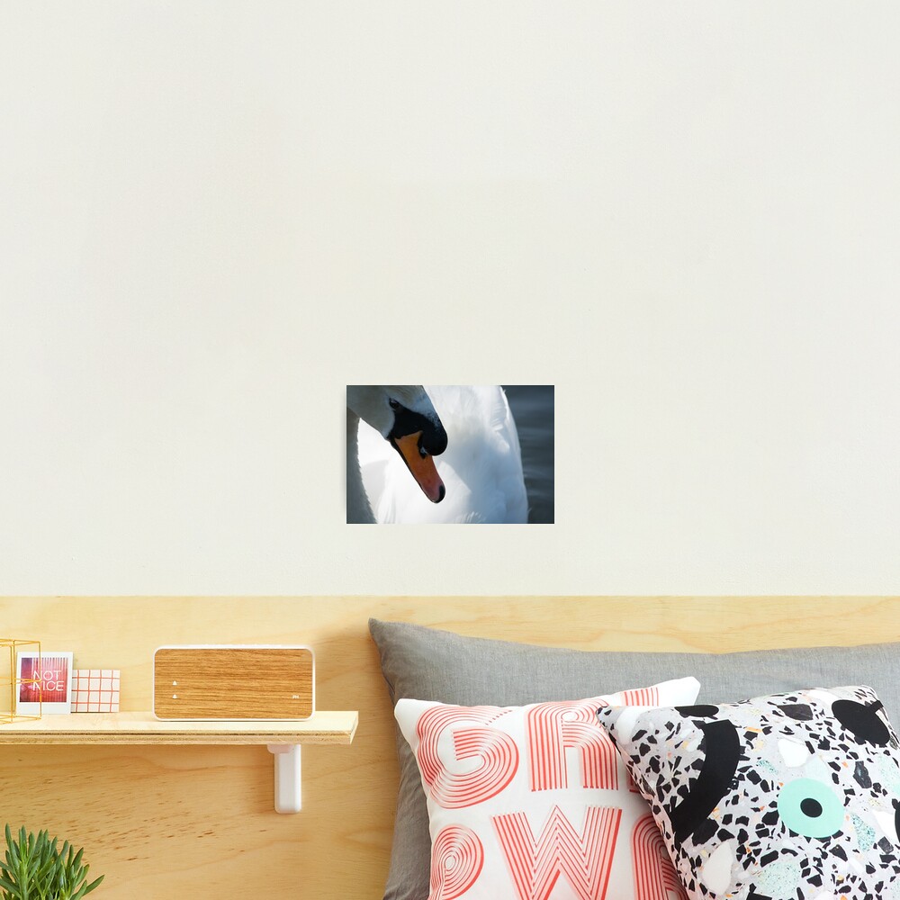 Item preview, Photographic Print designed and sold by RalphGoldsmith.