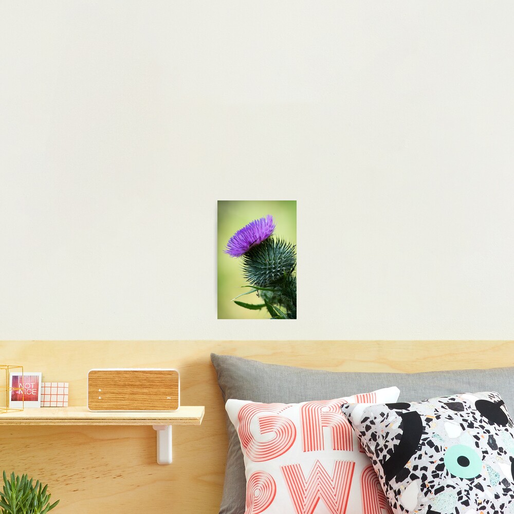 Item preview, Photographic Print designed and sold by RalphGoldsmith.