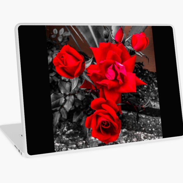 Red Roses Color Pop Laptop Skin