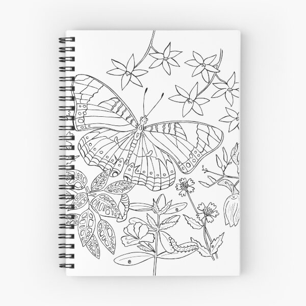 Item preview, Junonia Sophia Butterfly Lineart designed and sold by Jennifer Ruch.