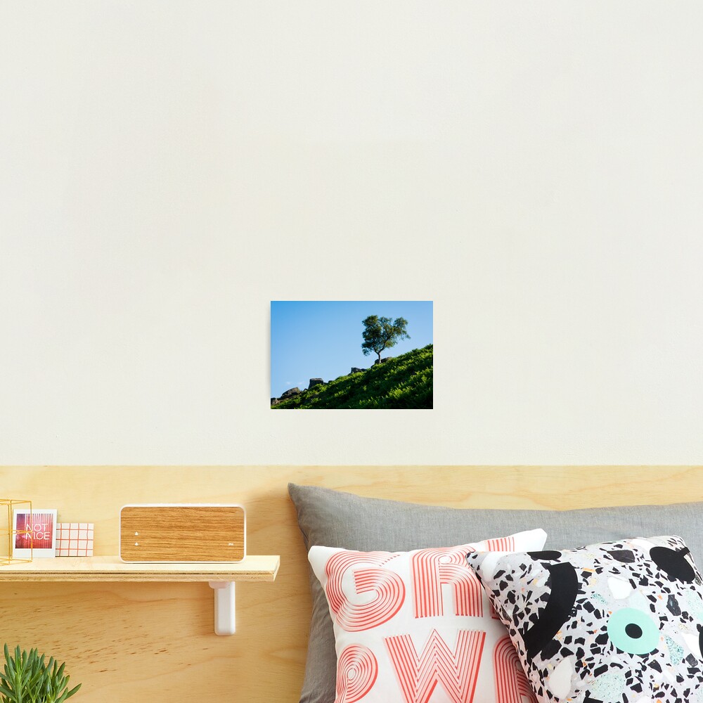 Item preview, Photographic Print designed and sold by RalphGoldsmith.