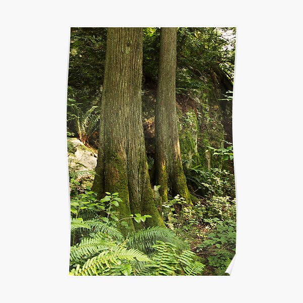 Finding Purchase Amid the Outcrops Poster