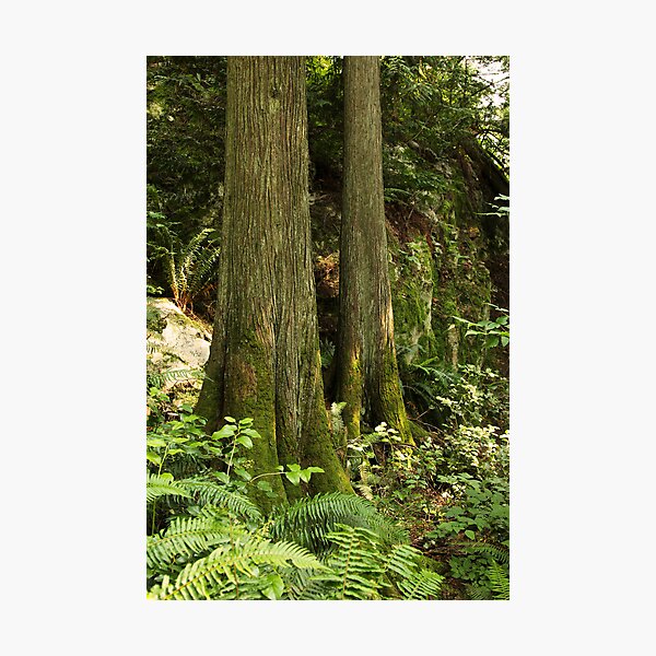 Finding Purchase Amid the Outcrops Photographic Print