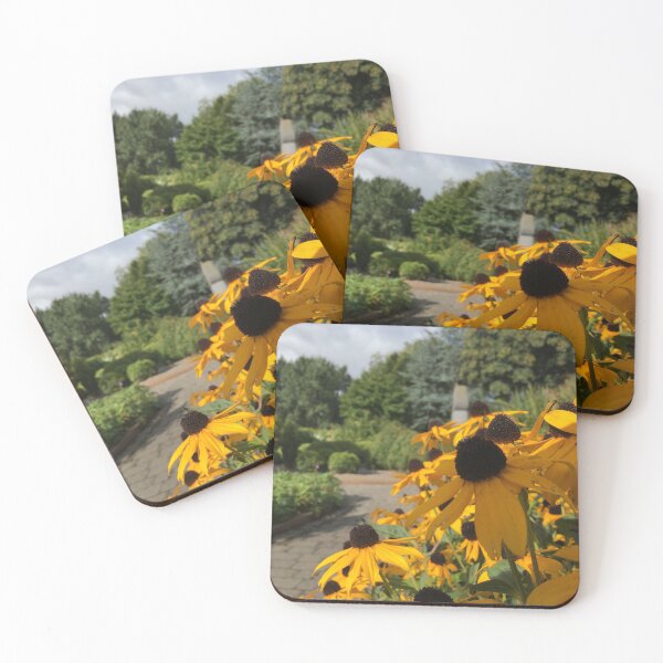 Item preview, Black eyed Susans in Tralee  designed and sold by chiarraigrrl.