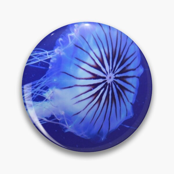Big Jelly Pins And Buttons Redbubble - jellyfish song roblox free robux generator no human