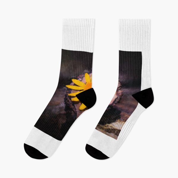 Item preview, Beauty Is Where You Find It designed and sold by Jim Love.