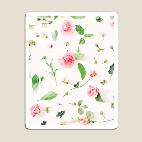 Roses Magnet
