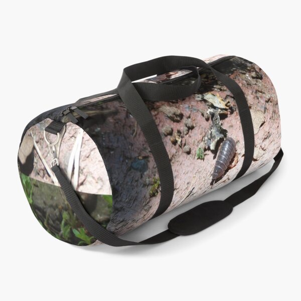 Item preview, Candid Rolly Polly designed and sold by lilzdrawz.