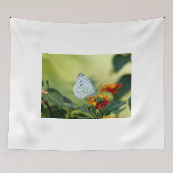 Item preview, White cabbage butterfly  designed and sold by pietrofoto.