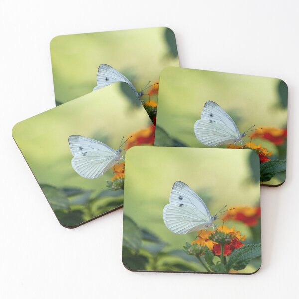 Item preview, White cabbage butterfly  designed and sold by pietrofoto.