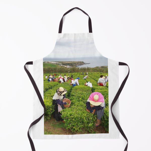 Item preview, Porto Formoso tea gardens designed and sold by Gaspar Avila.